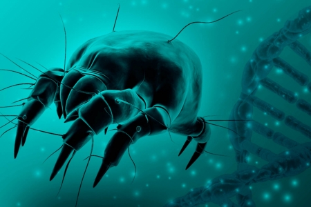 Projeto da Univates busca desenvolver produto funcional para diagnstico clnico de alergias