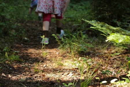 Pesquisa analisa interferncias da natureza no comportamento de crianas com TDAH no Nordeste brasileiro