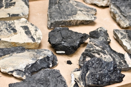 Pesquisadores revisam achados e fazem novas descobertas sobre paleoincndios na Frana entre 11 milhes e 7 milhes de anos