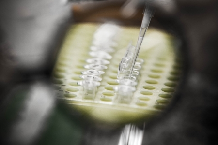 Univates obtm Certificado de Qualidade em Biossegurana para realizao de pesquisas cientficas com organismos geneticamente modificados