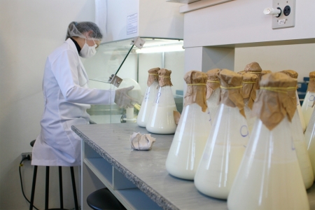 Manteiga de soro de queijo, produto promissor e pouco explorado pela indústria láctea, é tema de pesquisa