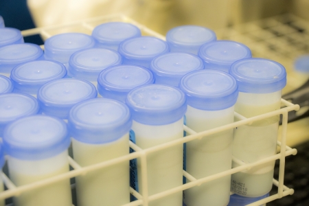 Leite bovino produzido na regio  avaliado em pesquisa