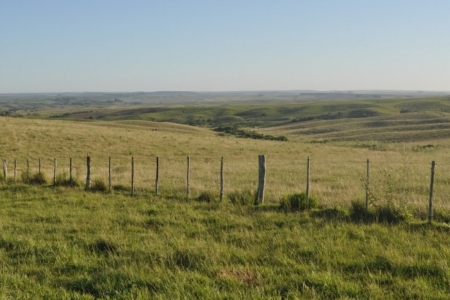 Pesquisadores da Univates integram estudo indito sobre biodiversidade do Pampa: mais de 12,5 mil espcies foram catalogadas
