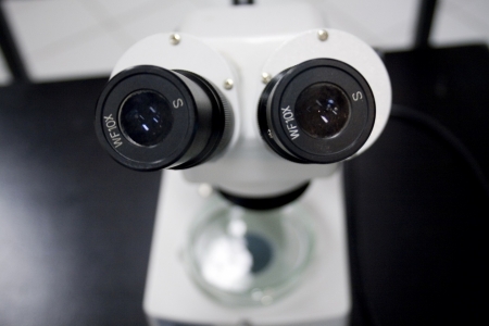 Microscpios e mistrios imperceptveis so tema de nova mostra do Museu de Cincias Univates