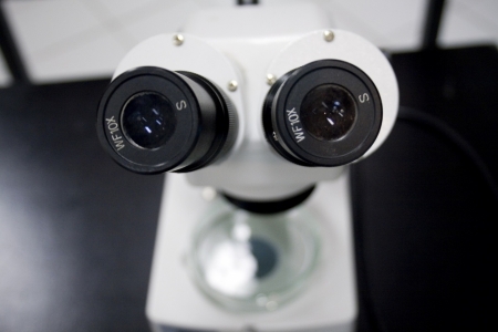 Microscópios e mistérios imperceptíveis são tema de nova mostra do Museu de Ciências Univates