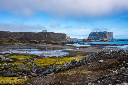 Frequent fires struck Antarctica during the Age of Dinosaurs, 75 million years ago