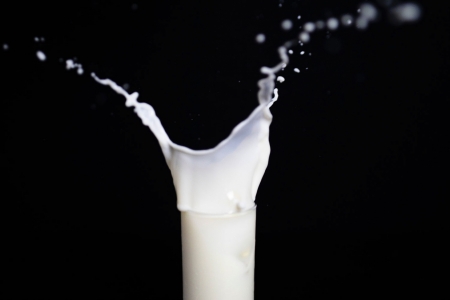 Estudo pioneiro na regio caracterizou a microbiota do leite em laticnios do Vale do Taquari