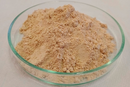 Estudo demonstra que levedura residual cervejeira tem potencial biotecnolgico para produo de suplementos alimentares para bovinos leiteiros