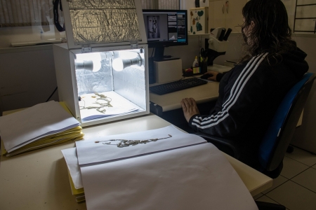 Herbrio do Vale do Taquari chega  marca de 50% do seu acervo digitalizado e disponibilizado on-line