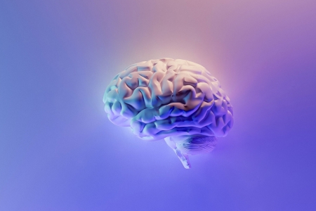 Univates busca voluntrios para participar de pesquisa sobre funcionamento cognitivo de pessoas em diferentes contextos