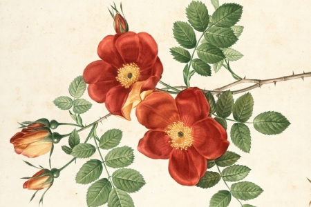 Dia Mundial do Desenhista  celebrado com eventos de arte na Univates