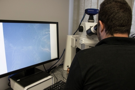 Univates seleciona projetos de pesquisa para bolsas do CNPq