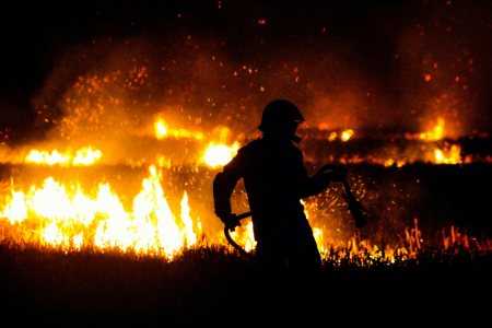 Estudo investiga o impacto das queimadas no Par