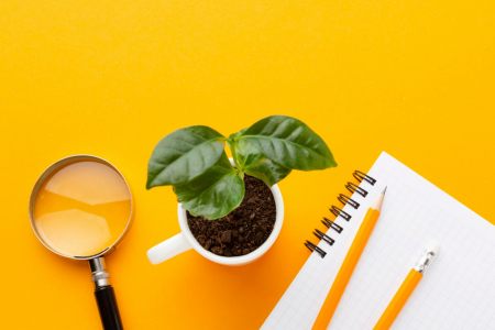 Primeiros registros de caros, produo de kefir e gesto escolar democrtica: Univates apresenta pesquisas publicadas em revistas cientficas na ltima semana