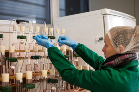 Univates integra projeto internacional para transformar gases residuais do biogs em protenas microbianas