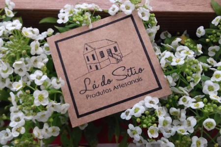 Pesquisa de estudante de Design analisa identidade visual de agroindstria familiar de geleias e produtos artesanais