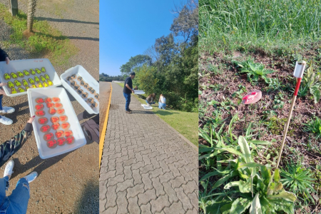 Estudantes de Arroio do Meio levam pesquisa sobre colorao aposemtica de escorpies  FEMUCI 2025