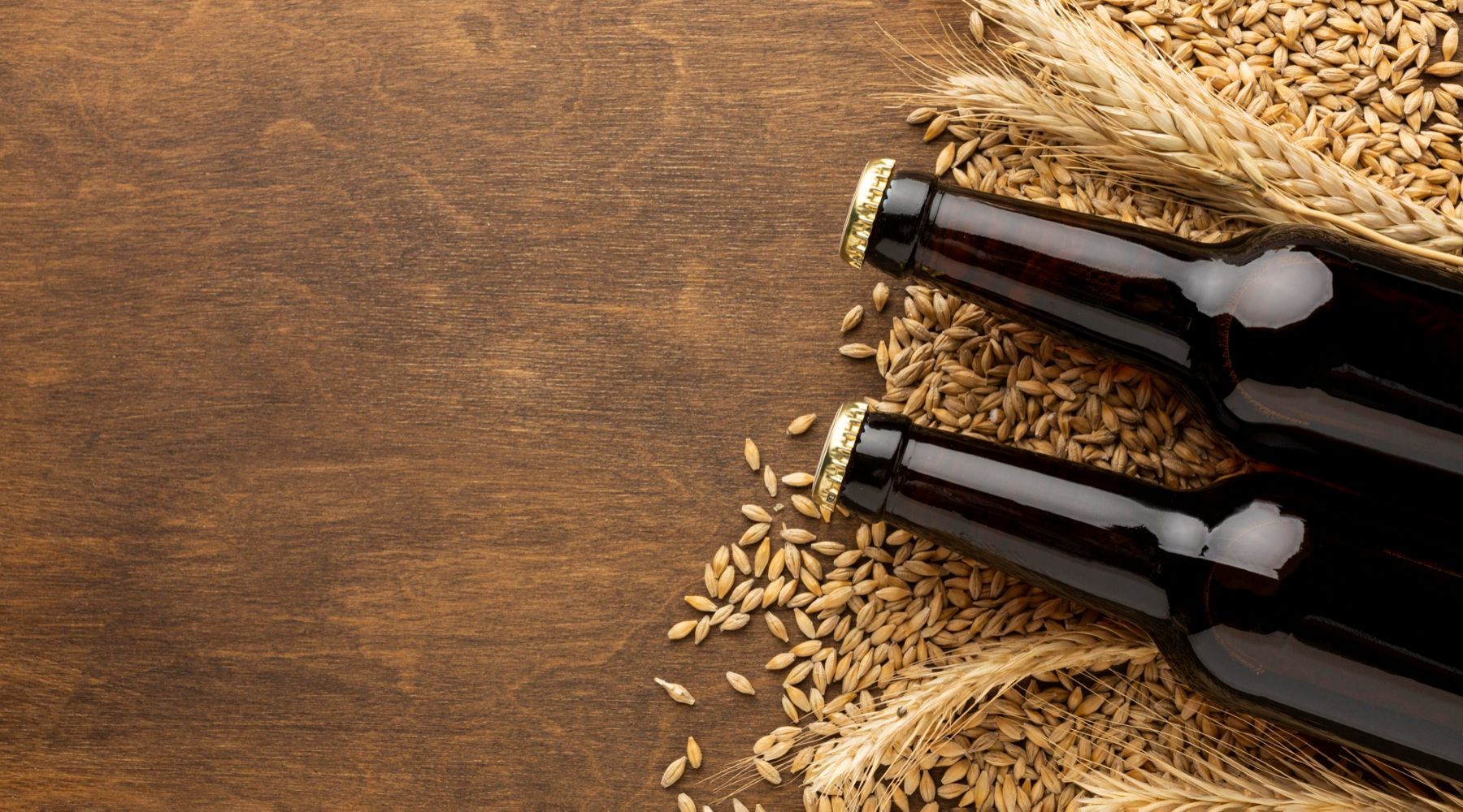 PPGBiotec oferece bolsa de mestrado do CNPq