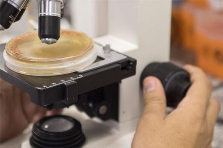 PPGBiotec recebe inscri��es at� o dia 13