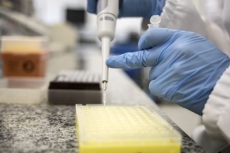 Univates recebe inscri��es para bolsistas de p�s-doutorado