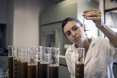 Mestrado foca em sistema agroalimentar