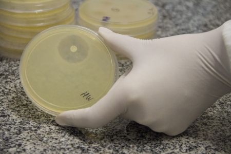 Univates � contemplada com recursos do CNPq