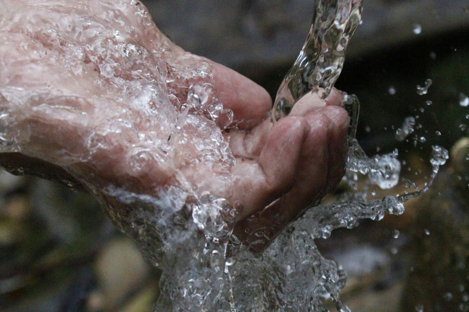 É necessário promover uma cultura de cuidado com o meio ambiente, respeitando os princípios do Direito Ambiental.