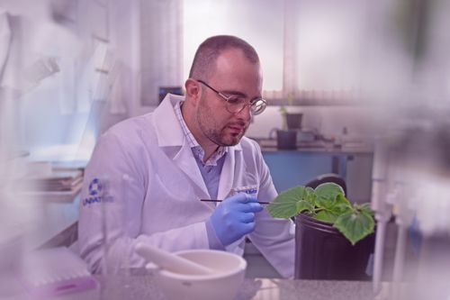 Univates realiza sele��o complementar para mestrado e doutorado em Biotecnologia