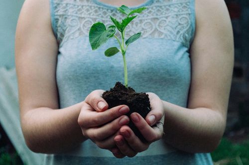 UNIVATES NA CI�NCIA - Meio ambiente e sustentabilidade, educa��o e metodologias de ensino: Univates apresenta pesquisas publicadas recentemente 
