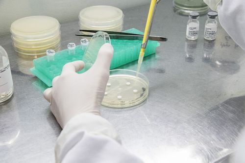 Pesquisa busca substituir conservantes artificiais por naturais