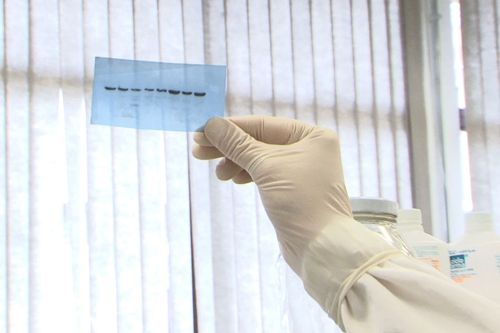 PPGBiotec realiza pesquisa sobre fertilidade humana e animal