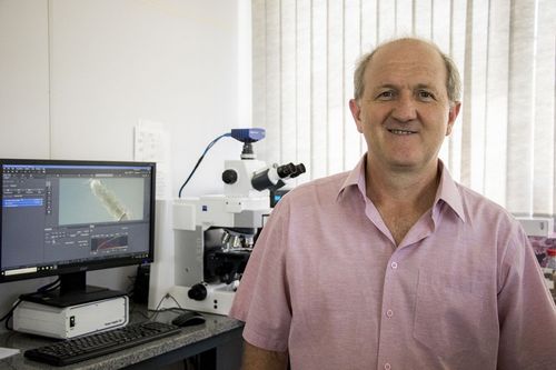 Pesquisador recebe pr�mio por inova��o no controle de �caros