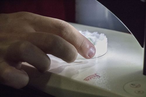 Mestrado em Sistemas Ambientais Sustent�veis da Univates oferece bolsa de estudo