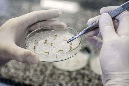 Inscri��es para mestrado e doutorado em Biotecnologia s�o prorrogadas