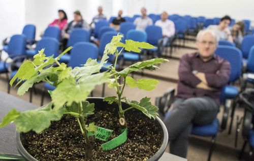 Projeto sobre controle biol�gico em videiras realiza capacita��o com produtores
