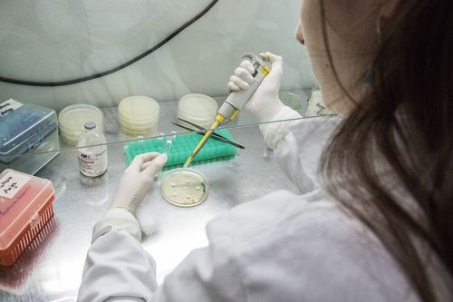 PPGBiotec recebe inscri��es em fluxo cont�nuo
