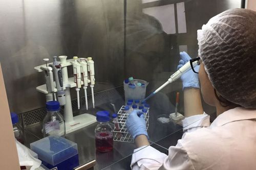Pesquisa de Mestrado vinculada ao PPGBiotec analisa poss�vel potencial antitumoral de planta nativa
