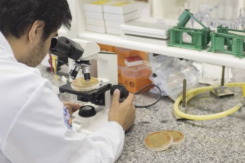 Univates recebe inscri��es para Doutorado em Biotecnologia