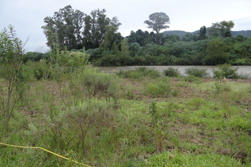 PPGSAS desenvolve investiga��o sobre comunidades vegetais