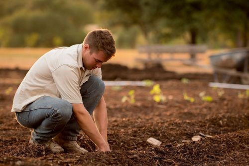 Estudo produzido na Univates constata alto �ndice de qualidade de vida no trabalho em agricultores de Estrela