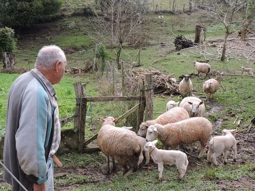 Ocupa��o do Vale do Taquari por imigrantes italianos e descendentes aconteceu conforme pr�ticas de uso do espa�o adotadas na It�lia, revela pesquisa