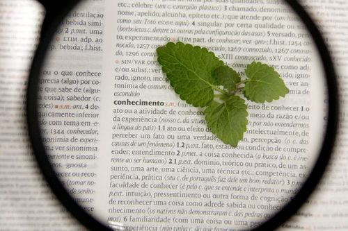 Revistas cient�ficas da Univates somam mais de 1 milh�o de visualiza��es na Internet