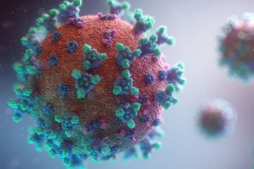 Pesquisa coordenada pela Univates, que mapeia 109 muta��es no SARS-CoV-2, � publicada na Scientific Reports Nature