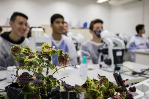 Univates promove Oficinas de Biotecnologia para estudantes do Ensino M�dio 