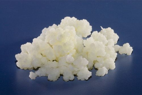 Reutilizar os gr�os de kefir por muito tempo pode mudar o sabor e a sa�de da bebida, aponta estudo brasileiro 