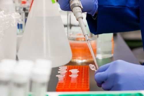 Univates oferece 13 vagas para doutorado no PPGBiotec