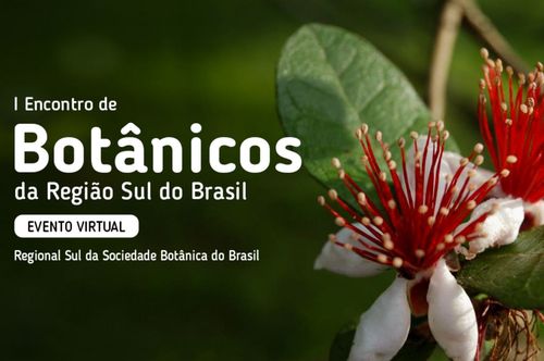 Bot�nicos da regi�o Sul do Brasil se encontram virtualmente na Univates