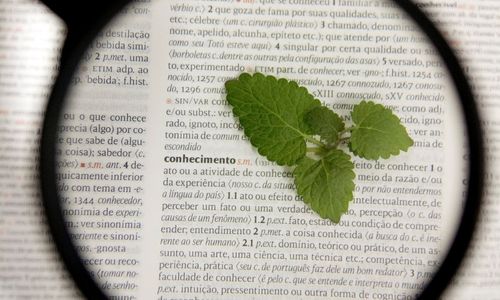 PPGBiotec da Univates tem dois de seus pesquisadores listados em ranking dos melhores da Am�rica Latina