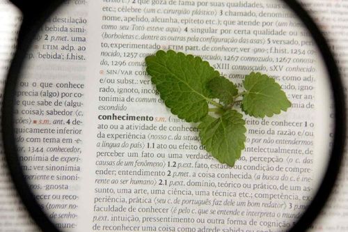 Pesquisadores da Univates integram Comit�s de Assessoramento da Fapergs