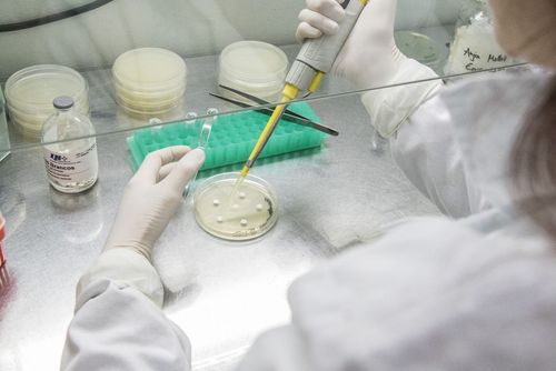 Univates abre processo seletivo para cursar mestrado do PPGBiotec com bolsa